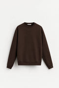 Zara Brown Basic Crewneck