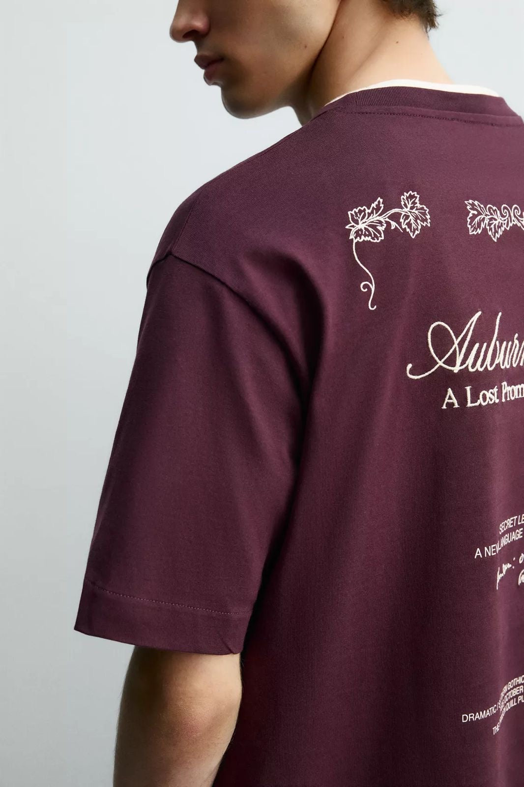 Maron Zara boxy fit T-shirt